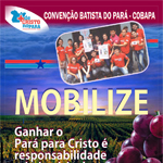 mobilize