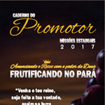 promotor-revista